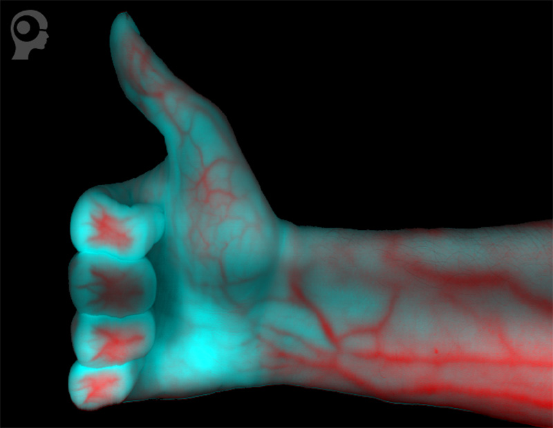 hyperspectral-hand-web